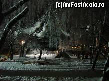 [P14] Poza mea preferata,imagine inghetata din Parcul Central » foto by ms65
 - 
<span class="allrVoted glyphicon glyphicon-heart hidden" id="av49555"></span>
<a class="m-l-10 hidden" id="sv49555" onclick="voting_Foto_DelVot(,49555,4951)" role="button">șterge vot <span class="glyphicon glyphicon-remove"></span></a>
<a id="v949555" class=" c-red"  onclick="voting_Foto_SetVot(49555)" role="button"><span class="glyphicon glyphicon-heart-empty"></span> <b>LIKE</b> = Votează poza</a> <img class="hidden"  id="f49555W9" src="/imagini/loader.gif" border="0" /><span class="AjErrMes hidden" id="e49555ErM"></span>