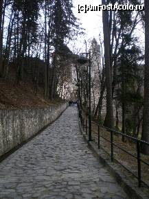[P24] Aleea care duce spre Castelul Bran » foto by presario
 - 
<span class="allrVoted glyphicon glyphicon-heart hidden" id="av54653"></span>
<a class="m-l-10 hidden" id="sv54653" onclick="voting_Foto_DelVot(,54653,4963)" role="button">șterge vot <span class="glyphicon glyphicon-remove"></span></a>
<a id="v954653" class=" c-red"  onclick="voting_Foto_SetVot(54653)" role="button"><span class="glyphicon glyphicon-heart-empty"></span> <b>LIKE</b> = Votează poza</a> <img class="hidden"  id="f54653W9" src="/imagini/loader.gif" border="0" /><span class="AjErrMes hidden" id="e54653ErM"></span>