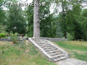 [P03] Parcul Regal » foto by mariusii
 - 
<span class="allrVoted glyphicon glyphicon-heart hidden" id="av774218"></span>
<a class="m-l-10 hidden" id="sv774218" onclick="voting_Foto_DelVot(,774218,4963)" role="button">șterge vot <span class="glyphicon glyphicon-remove"></span></a>
<a id="v9774218" class=" c-red"  onclick="voting_Foto_SetVot(774218)" role="button"><span class="glyphicon glyphicon-heart-empty"></span> <b>LIKE</b> = Votează poza</a> <img class="hidden"  id="f774218W9" src="/imagini/loader.gif" border="0" /><span class="AjErrMes hidden" id="e774218ErM"></span>