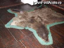[P06] kitch » foto by valimi
 - 
<span class="allrVoted glyphicon glyphicon-heart hidden" id="av55986"></span>
<a class="m-l-10 hidden" id="sv55986" onclick="voting_Foto_DelVot(,55986,4963)" role="button">șterge vot <span class="glyphicon glyphicon-remove"></span></a>
<a id="v955986" class=" c-red"  onclick="voting_Foto_SetVot(55986)" role="button"><span class="glyphicon glyphicon-heart-empty"></span> <b>LIKE</b> = Votează poza</a> <img class="hidden"  id="f55986W9" src="/imagini/loader.gif" border="0" /><span class="AjErrMes hidden" id="e55986ErM"></span>