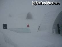 [P11] nebunia de afara » foto by lia_popescu
 - 
<span class="allrVoted glyphicon glyphicon-heart hidden" id="av50142"></span>
<a class="m-l-10 hidden" id="sv50142" onclick="voting_Foto_DelVot(,50142,4967)" role="button">șterge vot <span class="glyphicon glyphicon-remove"></span></a>
<a id="v950142" class=" c-red"  onclick="voting_Foto_SetVot(50142)" role="button"><span class="glyphicon glyphicon-heart-empty"></span> <b>LIKE</b> = Votează poza</a> <img class="hidden"  id="f50142W9" src="/imagini/loader.gif" border="0" /><span class="AjErrMes hidden" id="e50142ErM"></span>