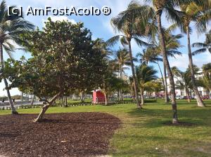 [P35] Miami beach » foto by robert
 - 
<span class="allrVoted glyphicon glyphicon-heart hidden" id="av1152633"></span>
<a class="m-l-10 hidden" id="sv1152633" onclick="voting_Foto_DelVot(,1152633,5053)" role="button">șterge vot <span class="glyphicon glyphicon-remove"></span></a>
<a id="v91152633" class=" c-red"  onclick="voting_Foto_SetVot(1152633)" role="button"><span class="glyphicon glyphicon-heart-empty"></span> <b>LIKE</b> = Votează poza</a> <img class="hidden"  id="f1152633W9" src="/imagini/loader.gif" border="0" /><span class="AjErrMes hidden" id="e1152633ErM"></span>