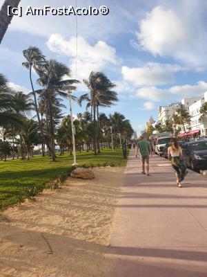 [P36] Miami beach » foto by robert
 - 
<span class="allrVoted glyphicon glyphicon-heart hidden" id="av1152634"></span>
<a class="m-l-10 hidden" id="sv1152634" onclick="voting_Foto_DelVot(,1152634,5053)" role="button">șterge vot <span class="glyphicon glyphicon-remove"></span></a>
<a id="v91152634" class=" c-red"  onclick="voting_Foto_SetVot(1152634)" role="button"><span class="glyphicon glyphicon-heart-empty"></span> <b>LIKE</b> = Votează poza</a> <img class="hidden"  id="f1152634W9" src="/imagini/loader.gif" border="0" /><span class="AjErrMes hidden" id="e1152634ErM"></span>