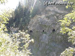 [P02] Ferestrele si tunelul din munte » foto by claudiu 71
 - 
<span class="allrVoted glyphicon glyphicon-heart hidden" id="av371850"></span>
<a class="m-l-10 hidden" id="sv371850" onclick="voting_Foto_DelVot(,371850,5061)" role="button">șterge vot <span class="glyphicon glyphicon-remove"></span></a>
<a id="v9371850" class=" c-red"  onclick="voting_Foto_SetVot(371850)" role="button"><span class="glyphicon glyphicon-heart-empty"></span> <b>LIKE</b> = Votează poza</a> <img class="hidden"  id="f371850W9" src="/imagini/loader.gif" border="0" /><span class="AjErrMes hidden" id="e371850ErM"></span>