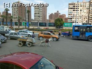 [P20] Cairo, e viața de zi cu zi! » foto by maryka
 - 
<span class="allrVoted glyphicon glyphicon-heart hidden" id="av1223090"></span>
<a class="m-l-10 hidden" id="sv1223090" onclick="voting_Foto_DelVot(,1223090,5067)" role="button">șterge vot <span class="glyphicon glyphicon-remove"></span></a>
<a id="v91223090" class=" c-red"  onclick="voting_Foto_SetVot(1223090)" role="button"><span class="glyphicon glyphicon-heart-empty"></span> <b>LIKE</b> = Votează poza</a> <img class="hidden"  id="f1223090W9" src="/imagini/loader.gif" border="0" /><span class="AjErrMes hidden" id="e1223090ErM"></span>