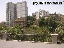 [P09] Cairo - bloc  in care locuiesc angajatii unei mari companii » foto by Diaura*
 - 
<span class="allrVoted glyphicon glyphicon-heart hidden" id="av53679"></span>
<a class="m-l-10 hidden" id="sv53679" onclick="voting_Foto_DelVot(,53679,5067)" role="button">șterge vot <span class="glyphicon glyphicon-remove"></span></a>
<a id="v953679" class=" c-red"  onclick="voting_Foto_SetVot(53679)" role="button"><span class="glyphicon glyphicon-heart-empty"></span> <b>LIKE</b> = Votează poza</a> <img class="hidden"  id="f53679W9" src="/imagini/loader.gif" border="0" /><span class="AjErrMes hidden" id="e53679ErM"></span>
