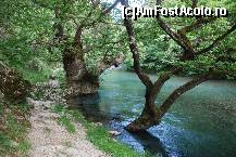 [P12] drum in cheile vikos » foto by mariana
 - 
<span class="allrVoted glyphicon glyphicon-heart hidden" id="av86782"></span>
<a class="m-l-10 hidden" id="sv86782" onclick="voting_Foto_DelVot(,86782,5075)" role="button">șterge vot <span class="glyphicon glyphicon-remove"></span></a>
<a id="v986782" class=" c-red"  onclick="voting_Foto_SetVot(86782)" role="button"><span class="glyphicon glyphicon-heart-empty"></span> <b>LIKE</b> = Votează poza</a> <img class="hidden"  id="f86782W9" src="/imagini/loader.gif" border="0" /><span class="AjErrMes hidden" id="e86782ErM"></span>