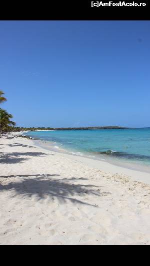 [P11] Plaja de vis » foto by atimespeed
 - 
<span class="allrVoted glyphicon glyphicon-heart hidden" id="av652516"></span>
<a class="m-l-10 hidden" id="sv652516" onclick="voting_Foto_DelVot(,652516,5086)" role="button">șterge vot <span class="glyphicon glyphicon-remove"></span></a>
<a id="v9652516" class=" c-red"  onclick="voting_Foto_SetVot(652516)" role="button"><span class="glyphicon glyphicon-heart-empty"></span> <b>LIKE</b> = Votează poza</a> <img class="hidden"  id="f652516W9" src="/imagini/loader.gif" border="0" /><span class="AjErrMes hidden" id="e652516ErM"></span>