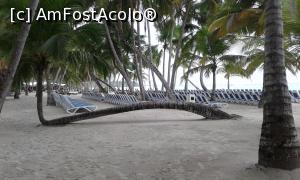 [P03] Insula Saona » foto by viho
 - 
<span class="allrVoted glyphicon glyphicon-heart hidden" id="av979922"></span>
<a class="m-l-10 hidden" id="sv979922" onclick="voting_Foto_DelVot(,979922,5086)" role="button">șterge vot <span class="glyphicon glyphicon-remove"></span></a>
<a id="v9979922" class=" c-red"  onclick="voting_Foto_SetVot(979922)" role="button"><span class="glyphicon glyphicon-heart-empty"></span> <b>LIKE</b> = Votează poza</a> <img class="hidden"  id="f979922W9" src="/imagini/loader.gif" border="0" /><span class="AjErrMes hidden" id="e979922ErM"></span>