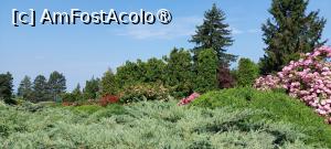 [P10] Grădina Botanică Anastasie Fătu » foto by Carmen Ion
 - 
<span class="allrVoted glyphicon glyphicon-heart hidden" id="av1495681"></span>
<a class="m-l-10 hidden" id="sv1495681" onclick="voting_Foto_DelVot(,1495681,5091)" role="button">șterge vot <span class="glyphicon glyphicon-remove"></span></a>
<a id="v91495681" class=" c-red"  onclick="voting_Foto_SetVot(1495681)" role="button"><span class="glyphicon glyphicon-heart-empty"></span> <b>LIKE</b> = Votează poza</a> <img class="hidden"  id="f1495681W9" src="/imagini/loader.gif" border="0" /><span class="AjErrMes hidden" id="e1495681ErM"></span>