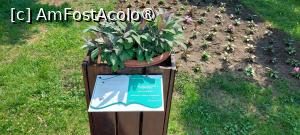 [P11] Grădina Botanică Anastasie Fătu - etichetarea plantelor, inclusiv în alfabetul Braille » foto by Carmen Ion
 - 
<span class="allrVoted glyphicon glyphicon-heart hidden" id="av1495682"></span>
<a class="m-l-10 hidden" id="sv1495682" onclick="voting_Foto_DelVot(,1495682,5091)" role="button">șterge vot <span class="glyphicon glyphicon-remove"></span></a>
<a id="v91495682" class=" c-red"  onclick="voting_Foto_SetVot(1495682)" role="button"><span class="glyphicon glyphicon-heart-empty"></span> <b>LIKE</b> = Votează poza</a> <img class="hidden"  id="f1495682W9" src="/imagini/loader.gif" border="0" /><span class="AjErrMes hidden" id="e1495682ErM"></span>