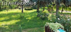 [P12] Grădina Botanică Anastasie Fătu » foto by Carmen Ion
 - 
<span class="allrVoted glyphicon glyphicon-heart hidden" id="av1495683"></span>
<a class="m-l-10 hidden" id="sv1495683" onclick="voting_Foto_DelVot(,1495683,5091)" role="button">șterge vot <span class="glyphicon glyphicon-remove"></span></a>
<a id="v91495683" class=" c-red"  onclick="voting_Foto_SetVot(1495683)" role="button"><span class="glyphicon glyphicon-heart-empty"></span> <b>LIKE</b> = Votează poza</a> <img class="hidden"  id="f1495683W9" src="/imagini/loader.gif" border="0" /><span class="AjErrMes hidden" id="e1495683ErM"></span>