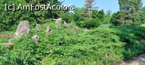 [P13] Grădina Botanică Anastasie Fătu » foto by Carmen Ion
 - 
<span class="allrVoted glyphicon glyphicon-heart hidden" id="av1495684"></span>
<a class="m-l-10 hidden" id="sv1495684" onclick="voting_Foto_DelVot(,1495684,5091)" role="button">șterge vot <span class="glyphicon glyphicon-remove"></span></a>
<a id="v91495684" class=" c-red"  onclick="voting_Foto_SetVot(1495684)" role="button"><span class="glyphicon glyphicon-heart-empty"></span> <b>LIKE</b> = Votează poza</a> <img class="hidden"  id="f1495684W9" src="/imagini/loader.gif" border="0" /><span class="AjErrMes hidden" id="e1495684ErM"></span>