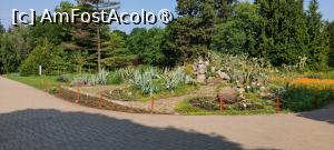 [P14] Grădina Botanică Anastasie Fătu » foto by Carmen Ion
 - 
<span class="allrVoted glyphicon glyphicon-heart hidden" id="av1495685"></span>
<a class="m-l-10 hidden" id="sv1495685" onclick="voting_Foto_DelVot(,1495685,5091)" role="button">șterge vot <span class="glyphicon glyphicon-remove"></span></a>
<a id="v91495685" class=" c-red"  onclick="voting_Foto_SetVot(1495685)" role="button"><span class="glyphicon glyphicon-heart-empty"></span> <b>LIKE</b> = Votează poza</a> <img class="hidden"  id="f1495685W9" src="/imagini/loader.gif" border="0" /><span class="AjErrMes hidden" id="e1495685ErM"></span>