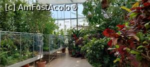 [P17] Grădina Botanică Anastasie Fătu - serele » foto by Carmen Ion
 - 
<span class="allrVoted glyphicon glyphicon-heart hidden" id="av1495688"></span>
<a class="m-l-10 hidden" id="sv1495688" onclick="voting_Foto_DelVot(,1495688,5091)" role="button">șterge vot <span class="glyphicon glyphicon-remove"></span></a>
<a id="v91495688" class=" c-red"  onclick="voting_Foto_SetVot(1495688)" role="button"><span class="glyphicon glyphicon-heart-empty"></span> <b>LIKE</b> = Votează poza</a> <img class="hidden"  id="f1495688W9" src="/imagini/loader.gif" border="0" /><span class="AjErrMes hidden" id="e1495688ErM"></span>