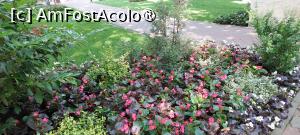 [P02] Parcul Expoziției » foto by Carmen Ion
 - 
<span class="allrVoted glyphicon glyphicon-heart hidden" id="av1495673"></span>
<a class="m-l-10 hidden" id="sv1495673" onclick="voting_Foto_DelVot(,1495673,5091)" role="button">șterge vot <span class="glyphicon glyphicon-remove"></span></a>
<a id="v91495673" class=" c-red"  onclick="voting_Foto_SetVot(1495673)" role="button"><span class="glyphicon glyphicon-heart-empty"></span> <b>LIKE</b> = Votează poza</a> <img class="hidden"  id="f1495673W9" src="/imagini/loader.gif" border="0" /><span class="AjErrMes hidden" id="e1495673ErM"></span>