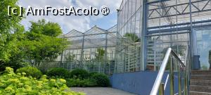 [P20] Grădina Botanică Anastasie Fătu - serele » foto by Carmen Ion
 - 
<span class="allrVoted glyphicon glyphicon-heart hidden" id="av1495691"></span>
<a class="m-l-10 hidden" id="sv1495691" onclick="voting_Foto_DelVot(,1495691,5091)" role="button">șterge vot <span class="glyphicon glyphicon-remove"></span></a>
<a id="v91495691" class=" c-red"  onclick="voting_Foto_SetVot(1495691)" role="button"><span class="glyphicon glyphicon-heart-empty"></span> <b>LIKE</b> = Votează poza</a> <img class="hidden"  id="f1495691W9" src="/imagini/loader.gif" border="0" /><span class="AjErrMes hidden" id="e1495691ErM"></span>