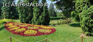 [P22] Grădina Botanică Anastasie Fătu » foto by Carmen Ion
 - 
<span class="allrVoted glyphicon glyphicon-heart hidden" id="av1495693"></span>
<a class="m-l-10 hidden" id="sv1495693" onclick="voting_Foto_DelVot(,1495693,5091)" role="button">șterge vot <span class="glyphicon glyphicon-remove"></span></a>
<a id="v91495693" class=" c-red"  onclick="voting_Foto_SetVot(1495693)" role="button"><span class="glyphicon glyphicon-heart-empty"></span> <b>LIKE</b> = Votează poza</a> <img class="hidden"  id="f1495693W9" src="/imagini/loader.gif" border="0" /><span class="AjErrMes hidden" id="e1495693ErM"></span>