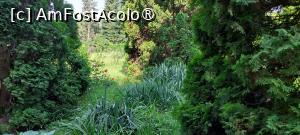 [P08] Grădina Botanică Anastasie Fătu » foto by Carmen Ion
 - 
<span class="allrVoted glyphicon glyphicon-heart hidden" id="av1495679"></span>
<a class="m-l-10 hidden" id="sv1495679" onclick="voting_Foto_DelVot(,1495679,5091)" role="button">șterge vot <span class="glyphicon glyphicon-remove"></span></a>
<a id="v91495679" class=" c-red"  onclick="voting_Foto_SetVot(1495679)" role="button"><span class="glyphicon glyphicon-heart-empty"></span> <b>LIKE</b> = Votează poza</a> <img class="hidden"  id="f1495679W9" src="/imagini/loader.gif" border="0" /><span class="AjErrMes hidden" id="e1495679ErM"></span>