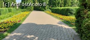 [P09] Grădina Botanică Anastasie Fătu » foto by Carmen Ion
 - 
<span class="allrVoted glyphicon glyphicon-heart hidden" id="av1495680"></span>
<a class="m-l-10 hidden" id="sv1495680" onclick="voting_Foto_DelVot(,1495680,5091)" role="button">șterge vot <span class="glyphicon glyphicon-remove"></span></a>
<a id="v91495680" class=" c-red"  onclick="voting_Foto_SetVot(1495680)" role="button"><span class="glyphicon glyphicon-heart-empty"></span> <b>LIKE</b> = Votează poza</a> <img class="hidden"  id="f1495680W9" src="/imagini/loader.gif" border="0" /><span class="AjErrMes hidden" id="e1495680ErM"></span>