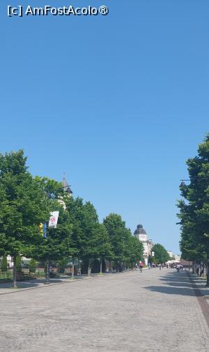 [P21] Bulevardul Ștefan cel Mare și Sfânt » foto by Carmen Ion
 - 
<span class="allrVoted glyphicon glyphicon-heart hidden" id="av1506352"></span>
<a class="m-l-10 hidden" id="sv1506352" onclick="voting_Foto_DelVot(,1506352,5091)" role="button">șterge vot <span class="glyphicon glyphicon-remove"></span></a>
<a id="v91506352" class=" c-red"  onclick="voting_Foto_SetVot(1506352)" role="button"><span class="glyphicon glyphicon-heart-empty"></span> <b>LIKE</b> = Votează poza</a> <img class="hidden"  id="f1506352W9" src="/imagini/loader.gif" border="0" /><span class="AjErrMes hidden" id="e1506352ErM"></span>