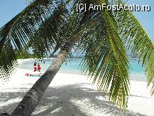 [P04] la plaja ! Cele doua femei care se vad imbracate in rosu sunt localnice care aduna algele de pe strand » foto by Pami*
 - 
<span class="allrVoted glyphicon glyphicon-heart hidden" id="av86410"></span>
<a class="m-l-10 hidden" id="sv86410" onclick="voting_Foto_DelVot(,86410,5106)" role="button">șterge vot <span class="glyphicon glyphicon-remove"></span></a>
<a id="v986410" class=" c-red"  onclick="voting_Foto_SetVot(86410)" role="button"><span class="glyphicon glyphicon-heart-empty"></span> <b>LIKE</b> = Votează poza</a> <img class="hidden"  id="f86410W9" src="/imagini/loader.gif" border="0" /><span class="AjErrMes hidden" id="e86410ErM"></span>