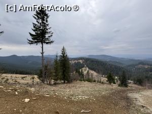 [P43] Pasul Palma » foto by AZE
 - 
<span class="allrVoted glyphicon glyphicon-heart hidden" id="av1479125"></span>
<a class="m-l-10 hidden" id="sv1479125" onclick="voting_Foto_DelVot(,1479125,5114)" role="button">șterge vot <span class="glyphicon glyphicon-remove"></span></a>
<a id="v91479125" class=" c-red"  onclick="voting_Foto_SetVot(1479125)" role="button"><span class="glyphicon glyphicon-heart-empty"></span> <b>LIKE</b> = Votează poza</a> <img class="hidden"  id="f1479125W9" src="/imagini/loader.gif" border="0" /><span class="AjErrMes hidden" id="e1479125ErM"></span>