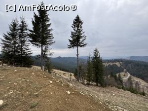 [P44] Pasul Palma » foto by AZE
 - 
<span class="allrVoted glyphicon glyphicon-heart hidden" id="av1479126"></span>
<a class="m-l-10 hidden" id="sv1479126" onclick="voting_Foto_DelVot(,1479126,5114)" role="button">șterge vot <span class="glyphicon glyphicon-remove"></span></a>
<a id="v91479126" class=" c-red"  onclick="voting_Foto_SetVot(1479126)" role="button"><span class="glyphicon glyphicon-heart-empty"></span> <b>LIKE</b> = Votează poza</a> <img class="hidden"  id="f1479126W9" src="/imagini/loader.gif" border="0" /><span class="AjErrMes hidden" id="e1479126ErM"></span>