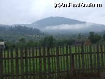 [P31]  -- <small>// FĂRĂ DESCRIERE</small> » foto by trandafir 1970*
 - 
<span class="allrVoted glyphicon glyphicon-heart hidden" id="av32012"></span>
<a class="m-l-10 hidden" id="sv32012" onclick="voting_Foto_DelVot(,32012,5114)" role="button">șterge vot <span class="glyphicon glyphicon-remove"></span></a>
<a id="v932012" class=" c-red"  onclick="voting_Foto_SetVot(32012)" role="button"><span class="glyphicon glyphicon-heart-empty"></span> <b>LIKE</b> = Votează poza</a> <img class="hidden"  id="f32012W9" src="/imagini/loader.gif" border="0" /><span class="AjErrMes hidden" id="e32012ErM"></span>