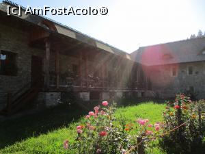 [P20] Flori și chilii ... » foto by puiutea
 - 
<span class="allrVoted glyphicon glyphicon-heart hidden" id="av1258367"></span>
<a class="m-l-10 hidden" id="sv1258367" onclick="voting_Foto_DelVot(,1258367,5114)" role="button">șterge vot <span class="glyphicon glyphicon-remove"></span></a>
<a id="v91258367" class=" c-red"  onclick="voting_Foto_SetVot(1258367)" role="button"><span class="glyphicon glyphicon-heart-empty"></span> <b>LIKE</b> = Votează poza</a> <img class="hidden"  id="f1258367W9" src="/imagini/loader.gif" border="0" /><span class="AjErrMes hidden" id="e1258367ErM"></span>