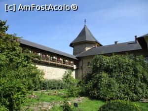 [P29] Flori pe ziduri ... » foto by puiutea
 - 
<span class="allrVoted glyphicon glyphicon-heart hidden" id="av1258376"></span>
<a class="m-l-10 hidden" id="sv1258376" onclick="voting_Foto_DelVot(,1258376,5114)" role="button">șterge vot <span class="glyphicon glyphicon-remove"></span></a>
<a id="v91258376" class=" c-red"  onclick="voting_Foto_SetVot(1258376)" role="button"><span class="glyphicon glyphicon-heart-empty"></span> <b>LIKE</b> = Votează poza</a> <img class="hidden"  id="f1258376W9" src="/imagini/loader.gif" border="0" /><span class="AjErrMes hidden" id="e1258376ErM"></span>