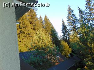 [P28] Vedere de la geamul camerei de la pensiunea Inima Bucovinei » foto by liviu49
 - 
<span class="allrVoted glyphicon glyphicon-heart hidden" id="av1302668"></span>
<a class="m-l-10 hidden" id="sv1302668" onclick="voting_Foto_DelVot(,1302668,5114)" role="button">șterge vot <span class="glyphicon glyphicon-remove"></span></a>
<a id="v91302668" class=" c-red"  onclick="voting_Foto_SetVot(1302668)" role="button"><span class="glyphicon glyphicon-heart-empty"></span> <b>LIKE</b> = Votează poza</a> <img class="hidden"  id="f1302668W9" src="/imagini/loader.gif" border="0" /><span class="AjErrMes hidden" id="e1302668ErM"></span>