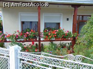 [P22] O alta cladire care se poate ascunde in abundenta de verdeata si flori . » foto by liviu49
 - 
<span class="allrVoted glyphicon glyphicon-heart hidden" id="av1302933"></span>
<a class="m-l-10 hidden" id="sv1302933" onclick="voting_Foto_DelVot(,1302933,5114)" role="button">șterge vot <span class="glyphicon glyphicon-remove"></span></a>
<a id="v91302933" class=" c-red"  onclick="voting_Foto_SetVot(1302933)" role="button"><span class="glyphicon glyphicon-heart-empty"></span> <b>LIKE</b> = Votează poza</a> <img class="hidden"  id="f1302933W9" src="/imagini/loader.gif" border="0" /><span class="AjErrMes hidden" id="e1302933ErM"></span>