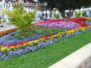 [P25] Covor de flori si verdeata in curtea manastirii Agapia . » foto by liviu49
 - 
<span class="allrVoted glyphicon glyphicon-heart hidden" id="av1302936"></span>
<a class="m-l-10 hidden" id="sv1302936" onclick="voting_Foto_DelVot(,1302936,5114)" role="button">șterge vot <span class="glyphicon glyphicon-remove"></span></a>
<a id="v91302936" class=" c-red"  onclick="voting_Foto_SetVot(1302936)" role="button"><span class="glyphicon glyphicon-heart-empty"></span> <b>LIKE</b> = Votează poza</a> <img class="hidden"  id="f1302936W9" src="/imagini/loader.gif" border="0" /><span class="AjErrMes hidden" id="e1302936ErM"></span>