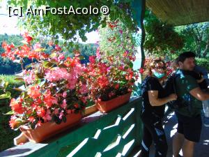 [P13] La coada la intrarea in gradina zoologica Dragos Voda, sau rezervatia de zimbri, cum o stie toata lumea . » foto by liviu49
 - 
<span class="allrVoted glyphicon glyphicon-heart hidden" id="av1303162"></span>
<a class="m-l-10 hidden" id="sv1303162" onclick="voting_Foto_DelVot(,1303162,5114)" role="button">șterge vot <span class="glyphicon glyphicon-remove"></span></a>
<a id="v91303162" class=" c-red"  onclick="voting_Foto_SetVot(1303162)" role="button"><span class="glyphicon glyphicon-heart-empty"></span> <b>LIKE</b> = Votează poza</a> <img class="hidden"  id="f1303162W9" src="/imagini/loader.gif" border="0" /><span class="AjErrMes hidden" id="e1303162ErM"></span>