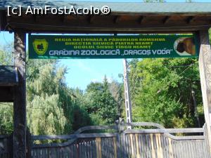 [P40] Ca sa stiti ca " am fost acolo ! " » foto by liviu49
 - 
<span class="allrVoted glyphicon glyphicon-heart hidden" id="av1303189"></span>
<a class="m-l-10 hidden" id="sv1303189" onclick="voting_Foto_DelVot(,1303189,5114)" role="button">șterge vot <span class="glyphicon glyphicon-remove"></span></a>
<a id="v91303189" class=" c-red"  onclick="voting_Foto_SetVot(1303189)" role="button"><span class="glyphicon glyphicon-heart-empty"></span> <b>LIKE</b> = Votează poza</a> <img class="hidden"  id="f1303189W9" src="/imagini/loader.gif" border="0" /><span class="AjErrMes hidden" id="e1303189ErM"></span>