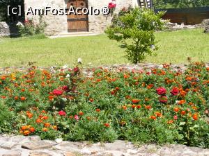 [P09] Flori in curtea manastirii . » foto by liviu49
 - 
<span class="allrVoted glyphicon glyphicon-heart hidden" id="av1303460"></span>
<a class="m-l-10 hidden" id="sv1303460" onclick="voting_Foto_DelVot(,1303460,5114)" role="button">șterge vot <span class="glyphicon glyphicon-remove"></span></a>
<a id="v91303460" class=" c-red"  onclick="voting_Foto_SetVot(1303460)" role="button"><span class="glyphicon glyphicon-heart-empty"></span> <b>LIKE</b> = Votează poza</a> <img class="hidden"  id="f1303460W9" src="/imagini/loader.gif" border="0" /><span class="AjErrMes hidden" id="e1303460ErM"></span>