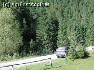 [P36] Locul unde amparcat masina, in mijlocul padurii, langa foisorul unde am mancat .... » foto by liviu49
 - 
<span class="allrVoted glyphicon glyphicon-heart hidden" id="av1303723"></span>
<a class="m-l-10 hidden" id="sv1303723" onclick="voting_Foto_DelVot(,1303723,5114)" role="button">șterge vot <span class="glyphicon glyphicon-remove"></span></a>
<a id="v91303723" class=" c-red"  onclick="voting_Foto_SetVot(1303723)" role="button"><span class="glyphicon glyphicon-heart-empty"></span> <b>LIKE</b> = Votează poza</a> <img class="hidden"  id="f1303723W9" src="/imagini/loader.gif" border="0" /><span class="AjErrMes hidden" id="e1303723ErM"></span>