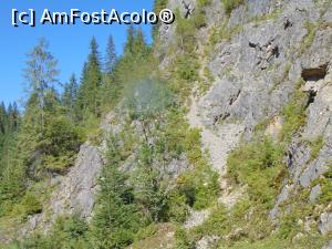 [P37] .... si unde nu puteau lipsi nici stancile de piatra . Doar suntem la munte.. » foto by liviu49
 - 
<span class="allrVoted glyphicon glyphicon-heart hidden" id="av1303724"></span>
<a class="m-l-10 hidden" id="sv1303724" onclick="voting_Foto_DelVot(,1303724,5114)" role="button">șterge vot <span class="glyphicon glyphicon-remove"></span></a>
<a id="v91303724" class=" c-red"  onclick="voting_Foto_SetVot(1303724)" role="button"><span class="glyphicon glyphicon-heart-empty"></span> <b>LIKE</b> = Votează poza</a> <img class="hidden"  id="f1303724W9" src="/imagini/loader.gif" border="0" /><span class="AjErrMes hidden" id="e1303724ErM"></span>