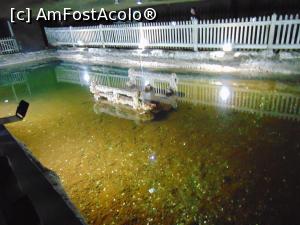 [P03] Fantana cu monezi » foto by liviu49
 - 
<span class="allrVoted glyphicon glyphicon-heart hidden" id="av1304642"></span>
<a class="m-l-10 hidden" id="sv1304642" onclick="voting_Foto_DelVot(,1304642,5114)" role="button">șterge vot <span class="glyphicon glyphicon-remove"></span></a>
<a id="v91304642" class=" c-red"  onclick="voting_Foto_SetVot(1304642)" role="button"><span class="glyphicon glyphicon-heart-empty"></span> <b>LIKE</b> = Votează poza</a> <img class="hidden"  id="f1304642W9" src="/imagini/loader.gif" border="0" /><span class="AjErrMes hidden" id="e1304642ErM"></span>