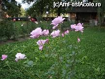 [P09] Curtea manastirii Gura Humorului » foto by ancamariagadea*
 - 
<span class="allrVoted glyphicon glyphicon-heart hidden" id="av34825"></span>
<a class="m-l-10 hidden" id="sv34825" onclick="voting_Foto_DelVot(,34825,5114)" role="button">șterge vot <span class="glyphicon glyphicon-remove"></span></a>
<a id="v934825" class=" c-red"  onclick="voting_Foto_SetVot(34825)" role="button"><span class="glyphicon glyphicon-heart-empty"></span> <b>LIKE</b> = Votează poza</a> <img class="hidden"  id="f34825W9" src="/imagini/loader.gif" border="0" /><span class="AjErrMes hidden" id="e34825ErM"></span>