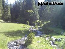[P04] raiul pe Pământ » foto by Romania4EVER
 - 
<span class="allrVoted glyphicon glyphicon-heart hidden" id="av258058"></span>
<a class="m-l-10 hidden" id="sv258058" onclick="voting_Foto_DelVot(,258058,5116)" role="button">șterge vot <span class="glyphicon glyphicon-remove"></span></a>
<a id="v9258058" class=" c-red"  onclick="voting_Foto_SetVot(258058)" role="button"><span class="glyphicon glyphicon-heart-empty"></span> <b>LIKE</b> = Votează poza</a> <img class="hidden"  id="f258058W9" src="/imagini/loader.gif" border="0" /><span class="AjErrMes hidden" id="e258058ErM"></span>