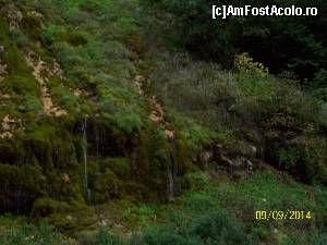 [P18] Cascada.  » foto by DanTal74
 - 
<span class="allrVoted glyphicon glyphicon-heart hidden" id="av555850"></span>
<a class="m-l-10 hidden" id="sv555850" onclick="voting_Foto_DelVot(,555850,5116)" role="button">șterge vot <span class="glyphicon glyphicon-remove"></span></a>
<a id="v9555850" class=" c-red"  onclick="voting_Foto_SetVot(555850)" role="button"><span class="glyphicon glyphicon-heart-empty"></span> <b>LIKE</b> = Votează poza</a> <img class="hidden"  id="f555850W9" src="/imagini/loader.gif" border="0" /><span class="AjErrMes hidden" id="e555850ErM"></span>