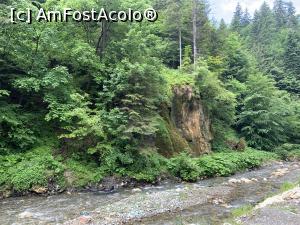 [P09] Cascada Chișătoare de lângă Moieciu de Sus » foto by AZE
 - 
<span class="allrVoted glyphicon glyphicon-heart hidden" id="av1371227"></span>
<a class="m-l-10 hidden" id="sv1371227" onclick="voting_Foto_DelVot(,1371227,5116)" role="button">șterge vot <span class="glyphicon glyphicon-remove"></span></a>
<a id="v91371227" class=" c-red"  onclick="voting_Foto_SetVot(1371227)" role="button"><span class="glyphicon glyphicon-heart-empty"></span> <b>LIKE</b> = Votează poza</a> <img class="hidden"  id="f1371227W9" src="/imagini/loader.gif" border="0" /><span class="AjErrMes hidden" id="e1371227ErM"></span>