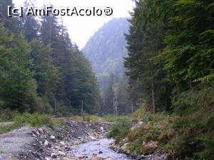 [P11] Nu ma mai satur de padure si rau.  » foto by liviu49
 - 
<span class="allrVoted glyphicon glyphicon-heart hidden" id="av926769"></span>
<a class="m-l-10 hidden" id="sv926769" onclick="voting_Foto_DelVot(,926769,5116)" role="button">șterge vot <span class="glyphicon glyphicon-remove"></span></a>
<a id="v9926769" class=" c-red"  onclick="voting_Foto_SetVot(926769)" role="button"><span class="glyphicon glyphicon-heart-empty"></span> <b>LIKE</b> = Votează poza</a> <img class="hidden"  id="f926769W9" src="/imagini/loader.gif" border="0" /><span class="AjErrMes hidden" id="e926769ErM"></span>