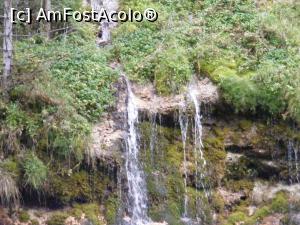 [P14] Tot nu ma pot desparti de cascada.  » foto by liviu49
 - 
<span class="allrVoted glyphicon glyphicon-heart hidden" id="av926772"></span>
<a class="m-l-10 hidden" id="sv926772" onclick="voting_Foto_DelVot(,926772,5116)" role="button">șterge vot <span class="glyphicon glyphicon-remove"></span></a>
<a id="v9926772" class=" c-red"  onclick="voting_Foto_SetVot(926772)" role="button"><span class="glyphicon glyphicon-heart-empty"></span> <b>LIKE</b> = Votează poza</a> <img class="hidden"  id="f926772W9" src="/imagini/loader.gif" border="0" /><span class="AjErrMes hidden" id="e926772ErM"></span>