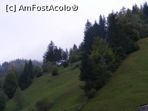 [P15] Am ajuns la o poiana care ne imbie la drumetie.  » foto by liviu49
 - 
<span class="allrVoted glyphicon glyphicon-heart hidden" id="av926773"></span>
<a class="m-l-10 hidden" id="sv926773" onclick="voting_Foto_DelVot(,926773,5116)" role="button">șterge vot <span class="glyphicon glyphicon-remove"></span></a>
<a id="v9926773" class=" c-red"  onclick="voting_Foto_SetVot(926773)" role="button"><span class="glyphicon glyphicon-heart-empty"></span> <b>LIKE</b> = Votează poza</a> <img class="hidden"  id="f926773W9" src="/imagini/loader.gif" border="0" /><span class="AjErrMes hidden" id="e926773ErM"></span>