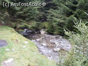 [P17] Dar nu putem uita raul si padurea.  » foto by liviu49
 - 
<span class="allrVoted glyphicon glyphicon-heart hidden" id="av926775"></span>
<a class="m-l-10 hidden" id="sv926775" onclick="voting_Foto_DelVot(,926775,5116)" role="button">șterge vot <span class="glyphicon glyphicon-remove"></span></a>
<a id="v9926775" class=" c-red"  onclick="voting_Foto_SetVot(926775)" role="button"><span class="glyphicon glyphicon-heart-empty"></span> <b>LIKE</b> = Votează poza</a> <img class="hidden"  id="f926775W9" src="/imagini/loader.gif" border="0" /><span class="AjErrMes hidden" id="e926775ErM"></span>