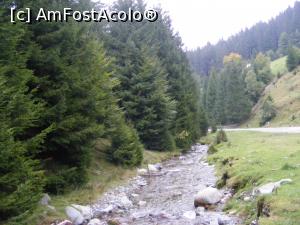 [P18] Pe marginea padurii, pe malul raului, in linistea poienii. Ce poate fi mai frumos!  » foto by liviu49
 - 
<span class="allrVoted glyphicon glyphicon-heart hidden" id="av926776"></span>
<a class="m-l-10 hidden" id="sv926776" onclick="voting_Foto_DelVot(,926776,5116)" role="button">șterge vot <span class="glyphicon glyphicon-remove"></span></a>
<a id="v9926776" class=" c-red"  onclick="voting_Foto_SetVot(926776)" role="button"><span class="glyphicon glyphicon-heart-empty"></span> <b>LIKE</b> = Votează poza</a> <img class="hidden"  id="f926776W9" src="/imagini/loader.gif" border="0" /><span class="AjErrMes hidden" id="e926776ErM"></span>