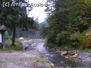 [P02] Pe valea Bangaleasa » foto by liviu49
 - 
<span class="allrVoted glyphicon glyphicon-heart hidden" id="av926760"></span>
<a class="m-l-10 hidden" id="sv926760" onclick="voting_Foto_DelVot(,926760,5116)" role="button">șterge vot <span class="glyphicon glyphicon-remove"></span></a>
<a id="v9926760" class=" c-red"  onclick="voting_Foto_SetVot(926760)" role="button"><span class="glyphicon glyphicon-heart-empty"></span> <b>LIKE</b> = Votează poza</a> <img class="hidden"  id="f926760W9" src="/imagini/loader.gif" border="0" /><span class="AjErrMes hidden" id="e926760ErM"></span>